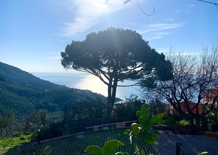 Casa Mojn レーリチ