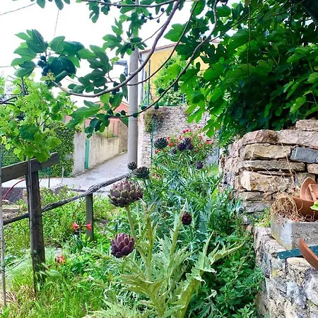 Hébergement de vacances Casa Mojn Lerici